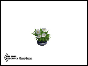 Sims 4 — My Perfect Greek Kitchen Plant by seimar8 — Maxis match flowering plant with white flowers in a dark blue