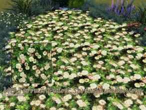 Sims 4 — MB-TerrainPaint_SpringAwakening by matomibotaki — MB-TerrainPaint_SpringAwakening the first delicate spring