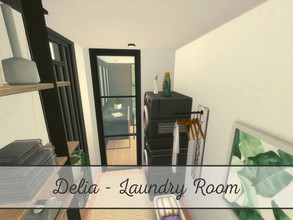 Sims 4 — Delia - Laundry Room - TSR CC only by 1990Evi — Fully furnished and decorated laundry room with a washing