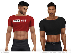 Sims 4 — Why Not - Men's Crop Top by CherryBerrySim — Cotton trendy crop top with an optional WHY NOT graphic for male