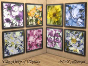 Sims 4 — The Glory of Spring by nmflowergirl — A set of eight large, square paintings of vividly colored spring flowers.