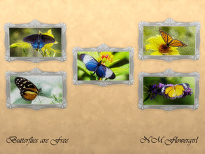 Sims 4 — Butterflies are Free by nmflowergirl — Framed oil paintings of butterflies that bring the masterpieces of nature