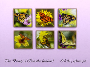 Sims 4 — The Beauty of Butterflies (medium) by nmflowergirl — Medium framed oil paintings of butterflies for a more