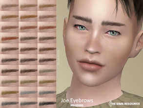 Sims 4 — Joe Eyebrows by MSQSIMS — These Eyebrows are available in 30 colors. They are suitable for Female/Male from