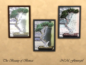 Sims 4 — The Beauty of Bonsai by nmflowergirl — Three framed wall art prints of bonsai trees for a Japanese room or