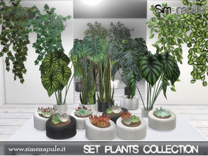 Sims 4 — Plants Collection by Simenapule — Plants Collection The set includes 8 plants: - 5 floor plants - 3 table grass