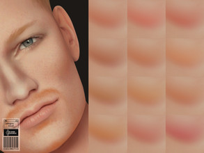 Sims 4 — Blush| N21 by cosimetic — - It is suitable for male and female sims. ( Teen to elder ) - 12 swatches. - You can