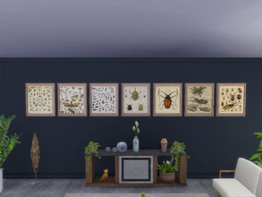 Sims 4 — Entomology Art by Morrii — Entomology paintings, insect art