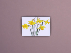 Sims 4 — Daffodil Painting by Morrii — Framed Daffodil Picture