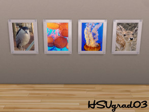 Sims 4 — Fauna Photography by hsugrad03 — Multiple options for photos of various animals, all taken by me. 