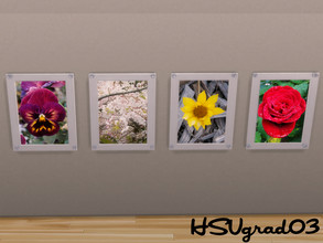 Sims 4 — Flora Photography by hsugrad03 — Multiple options for photos of various plants, flowers, and trees, all taken by