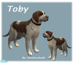 Sims 2 — Toby by Shakeshaft — My version of a English Springer Spaniel.