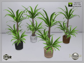 Sims 4 — Goho garden plant by jomsims — Goho garden plant