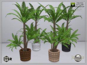 Sims 4 — Goho garden plant2 by jomsims — Goho garden plant2