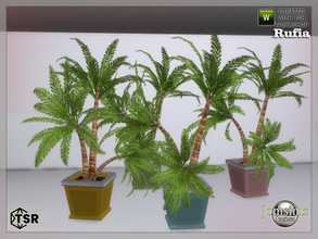 Sims 4 — Rufia bedroom plant by jomsims — Rufia bedroom plant
