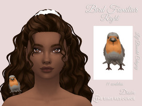 Sims 4 — Bird Familiar (Right Arm) by Dissia — Little bird sitting on your sim right arm :) Available in 11 swatches Left
