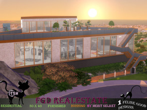 Sims 4 — FGD RealEstate 2022040 by Merit_Selket — Triangle shaped Mansion, furnished and built in Del Sol Valley 50 x 40