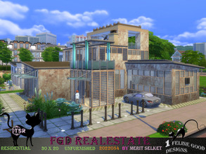 Sims 4 — FGD RealEstate 2022054 by Merit_Selket — modern house for a Family, built in New Crest 30 x 20 only TSR CC used