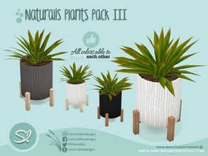 Sims 4 — Naturalis Plants III - 9 - tropical planter by SIMcredible! — by SIMcredibledesigns.com available at TSR 3