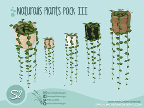 Sims 4 — Naturalis Plants III - 7 - String plant by SIMcredible! — by SIMcredibledesigns.com available at TSR 4 colors