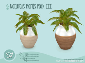 Sims 4 — Naturalis Plants III - 6 - Fern by SIMcredible! — by SIMcredibledesigns.com available at TSR 2 colors variations