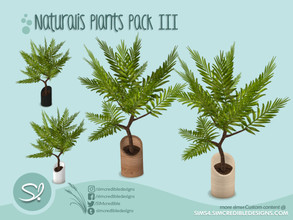 Sims 4 — Naturalis Plants III - 5 - Potted olive by SIMcredible! — by SIMcredibledesigns.com available at TSR 4 colors