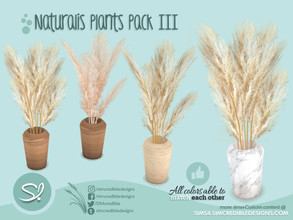 Sims 4 — Naturalis Plants III - 2 - Dried Pampas Grass by SIMcredible! — by SIMcredibledesigns.com available at TSR 5