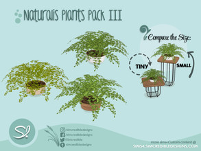 Sims 4 — Naturalis Plants III - 4 - tiny by SIMcredible! — by SIMcredibledesigns.com available at TSR 3 colors +