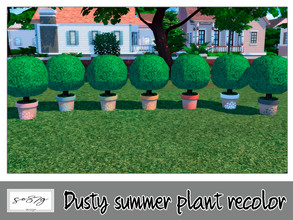Sims 4 — Dusty Summer plant by so87g — cost: 80$, 7 colors, you can find it in decor - plant All my preview screenshots