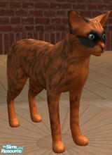 Sims 2 — Halloween Cat by kalihunnybunch — Late cat for Halloween