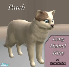 Sims 2 — NSC Pets - Patch the Kitty by Neptunesuzy — Enjoy!