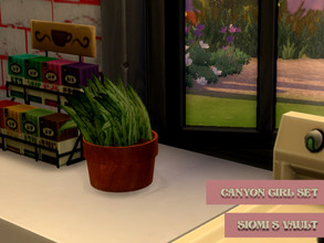 Sims 4 — CanyonGirlSet_Plantpot03 by siomisvault — And this is Plant #3 for your beautiful room! Please take care of it