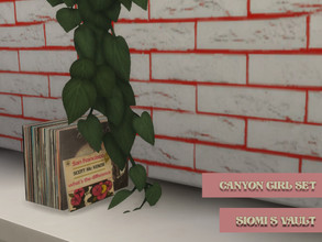 Sims 4 — CanyonGirlSet_Vinyls02 by siomisvault — More vinyls because yes BUT this one have the cutes 7" 45 RPM