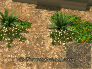 Sims 4 — MB-TerrainPaint_Loam by matomibotaki — MB-TerrainPaint_Loam Loamy partly dried out soil, terrain paint comes