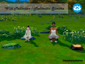 Sims 4 — Wild Meditation Stools by MandarinaHarina — Functional Wild Meditation Stool for Spa Day. - Rock Meditation