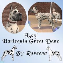 Sims 2 — Harlequin Great Dane by Raveena — This is Lucy. A beautiful Harlequin Great Dane. She is very smart and very