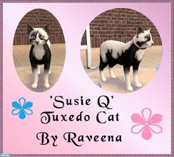 Sims 2 — Susie Q_Tuxedo Cat by Raveena — A beautiful and very friendly tuxedo cat. Also, very smart. NOTE: Maxis Glitch -
