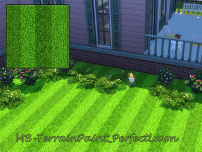 Sims 4 — MB-TerrainPaint_PerfectLawn by matomibotaki — MB-TerrainPaint_PerfectLawn This is what a well-groomed lawn can