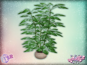 Sims 4 — Elna - Plant by ArwenKaboom — Base game object in multiple recolors. Find all items by searching