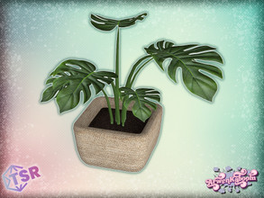 Sims 4 — Elna - Table Plant by ArwenKaboom — Base game object in multiple recolors. Find all items by searching