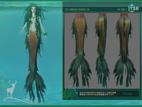 Sims 4 — LAMINARIA MERMAID TAIL by DanSimsFantasy — Mermaid tail inspired by sea plants with different color gradients.