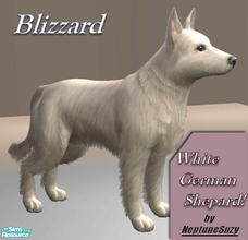 Sims 2 — NSC Pets - Blizzard the Dog by Neptunesuzy — Blizzard is a White German Shepard! Enjoy!
