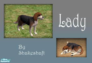 Sims 2 — Lady by Shakeshaft — Cute and small Spaniel.
