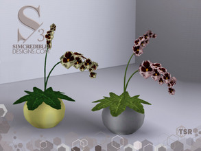 Sims 3 — Latitude Orchid by SIMcredible! — SIMcredibledesigns.com 