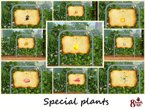 Sims 3 — Large garden signs for Special plants by 8hands — [LGS-02] Large garden signs for 9 special plants in the