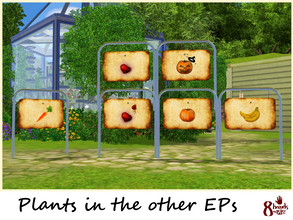Sims 3 — Large garden signs for plants in the Other EPs by 8hands — [LGS-10] Large garden signs for 4 plants - EP : Late