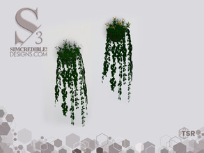 Sims 3 — Audacis Wall Plant by SIMcredible! — SIMcredibledesigns.com