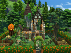 Sims 4 — Pumpkin Cottage by susancho932 — A cute pumpkin cottage that grows pumpkins and other sprouts getting ready for