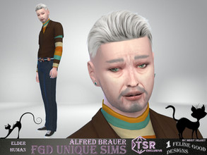 Sims 4 — Alfred Brauer by Merit_Selket — Alfred is a happy soul who loves the world Alfred Brauer Elder Friend of the