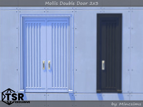 Sims 4 — Mollis Double Door 2x3 by Mincsims — Basegame Compatible 8 swatches for Short Wall